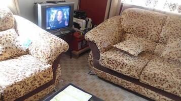 Un salón con sofás estampados y una televisión.
