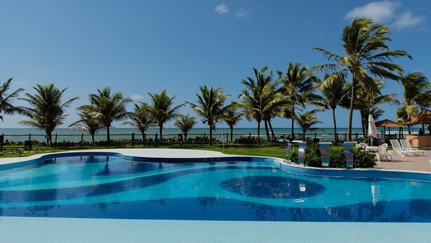 Una piscina de borde curvo, rodeada de palmeras y vista al océano.