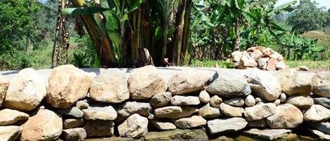 A stone wall with a pond reflecting banana trees and surrounding greenery.