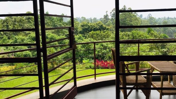 Une pièce dotée d’un balcon incurvé donnant sur un jardin luxuriant et une forêt dense.
