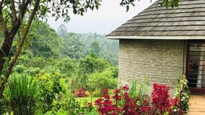 Un bâtiment rustique à l’extérieur en briques et doté d’un toit en tuiles, entouré d’une végétation luxuriante et de plantes en fleurs.