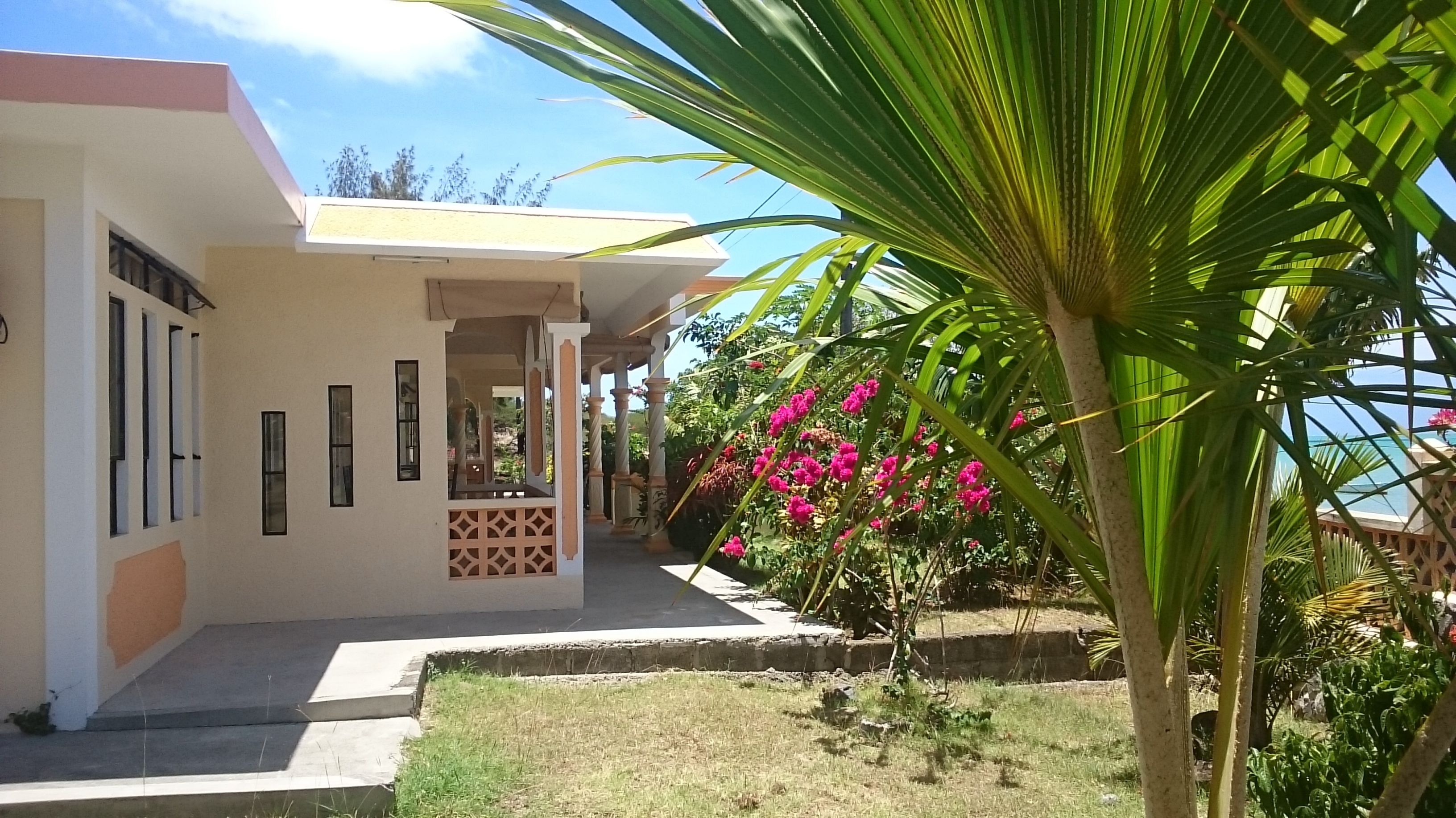 A modern house with a covered porch, a small garden with pink flowers, and a palm tree.