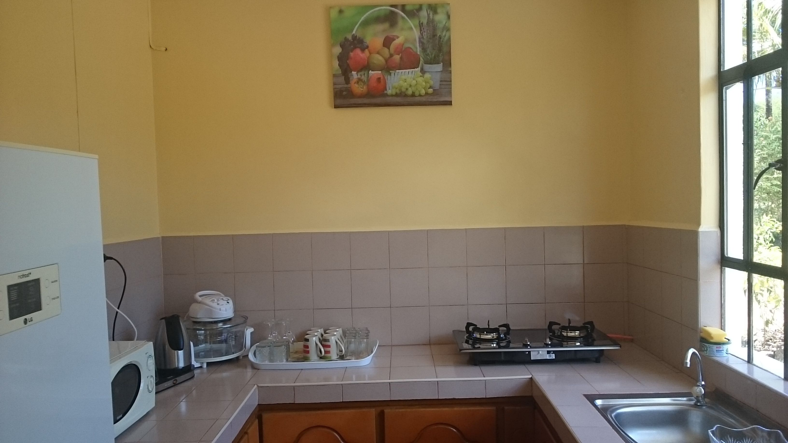 Una cocina equipada con microondas, hervidor y estufa a gas. Se ve un ventanal con vistas a zonas verdes.