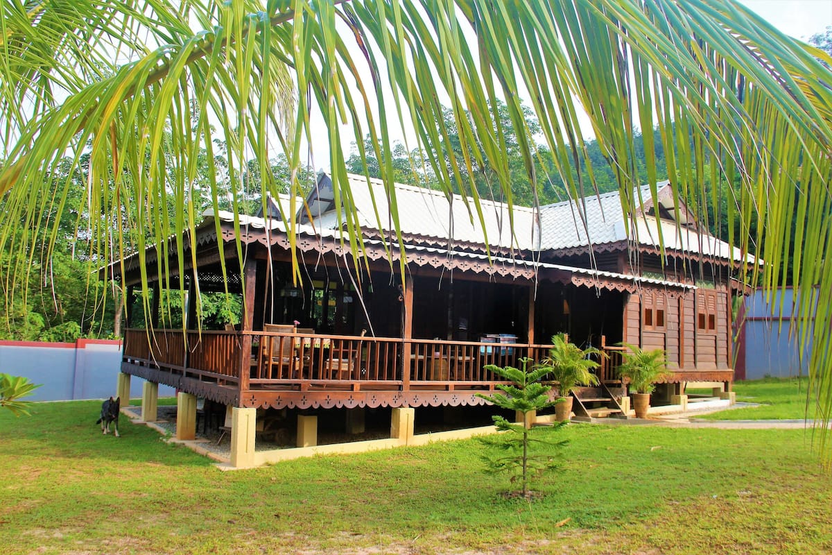 A wooden house with a balcony, surrounded by lush greenery and a small tree.