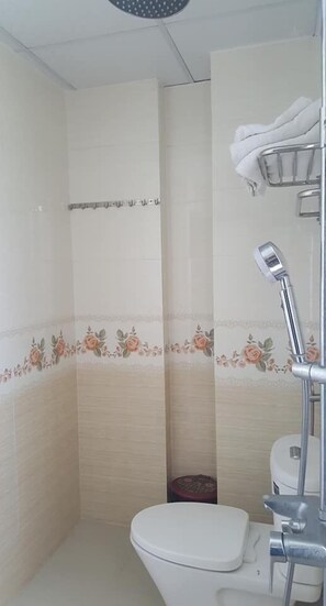 Douche de la salle de bain