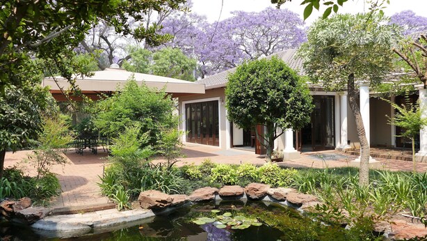 Un patio tranquilo con un estanque pequeño, abundante vegetación y un edificio tradicional con tejado de tejas.