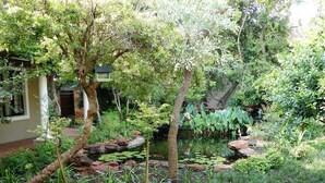 Un jardín con un estanque, rocas y diferentes plantas.