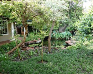 Garden - 174 Premier Guesthouse (Pretoria)