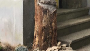 A stone statue of a figure with a beard, placed on a pedestal in front of a building with a yellow door. - Vacation apartment Linde (2 persons) - Ferienwohnungen May (Plankenfels)