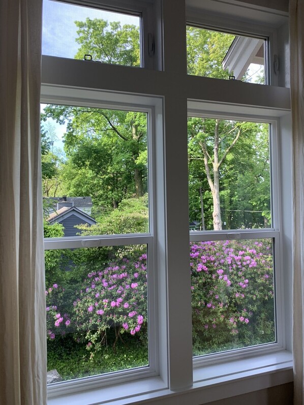 A window with a view of a house and trees.