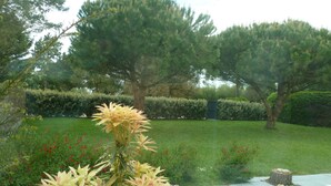 A well-maintained garden with mature trees, a variety of shrubs, and a stone pathway.