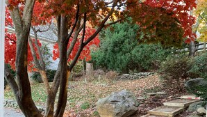 A garden pathway with stepping stones and a tree with red leaves.