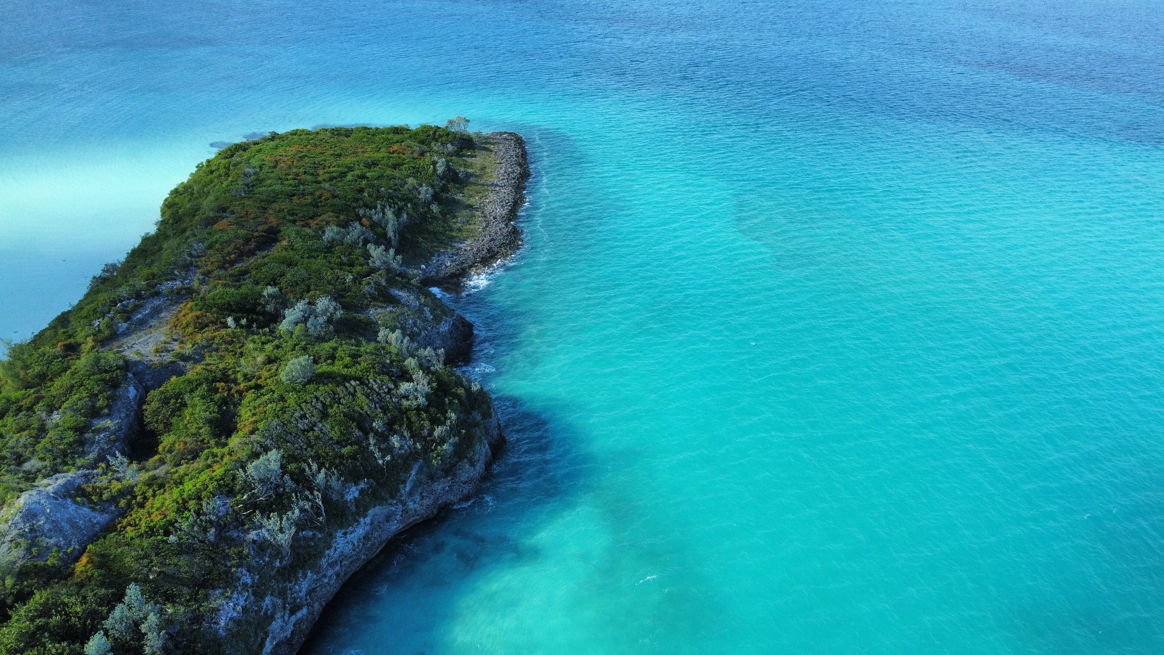 An aerial view of a coastal area with a rocky shoreline and dense vegetation.