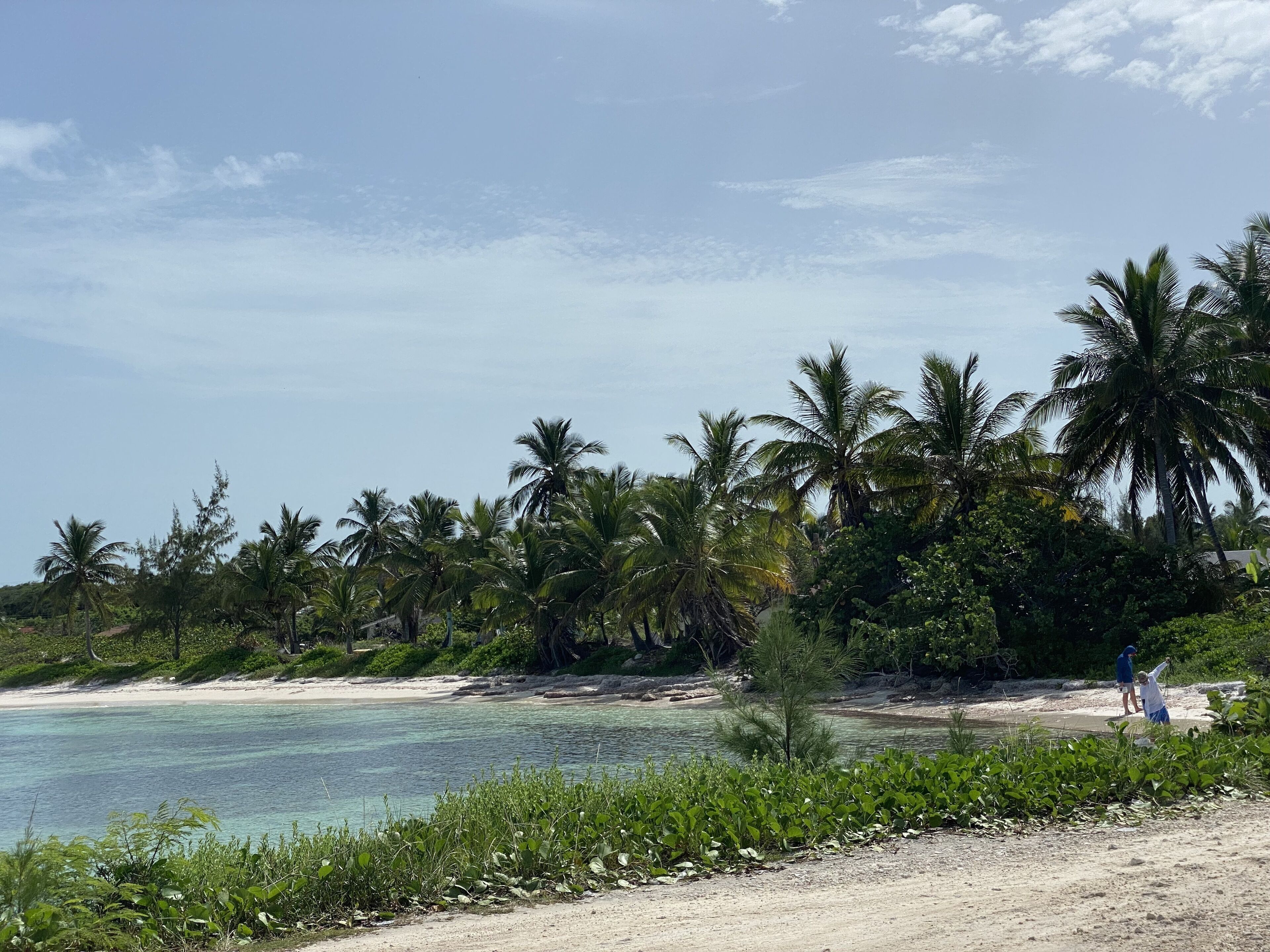 Ein Strand mit klarem türkisblauem Wasser, Palmen und einem sandigen Ufer.