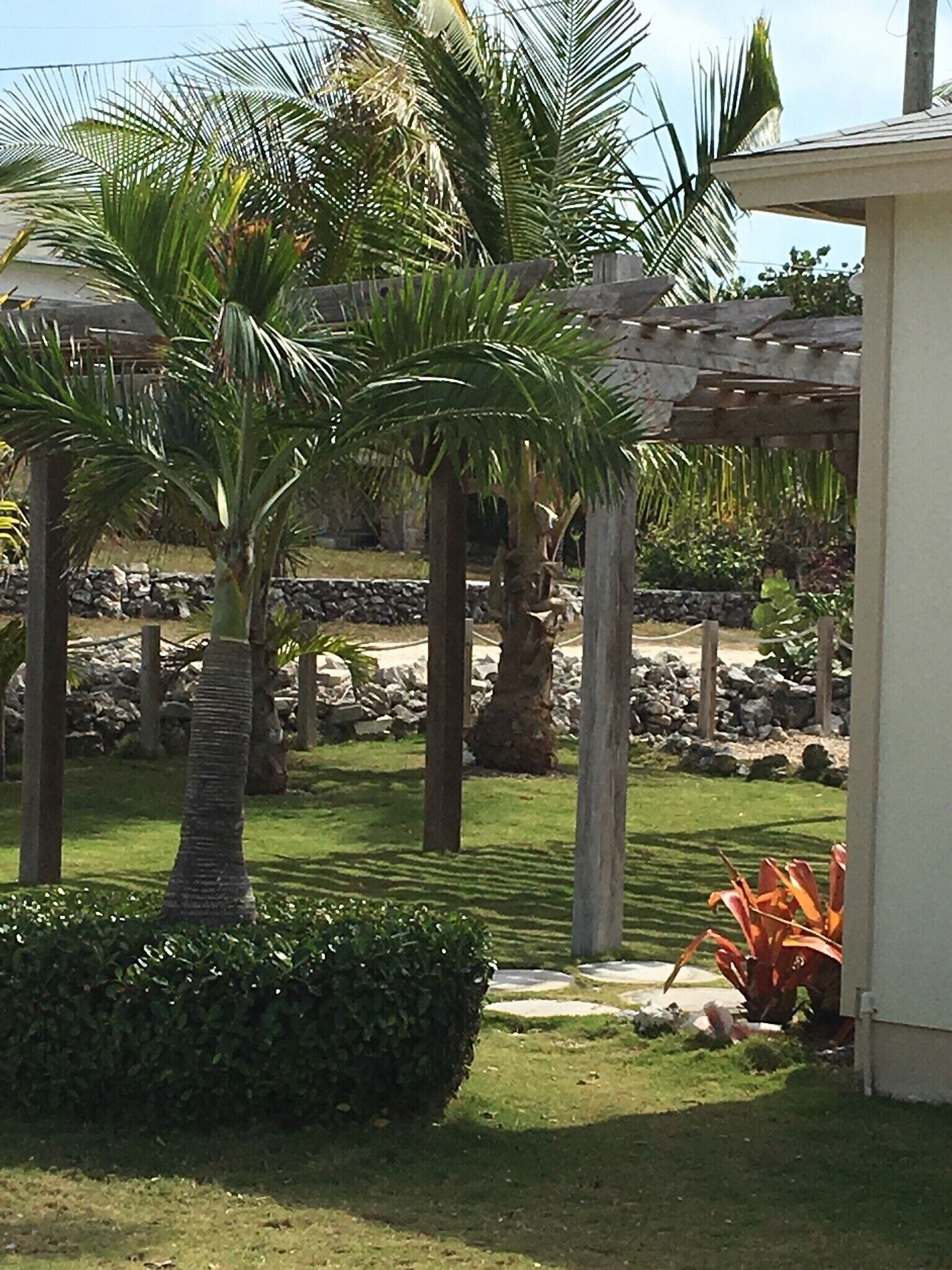 A garden with palm trees, a pergola, and a stone wall.