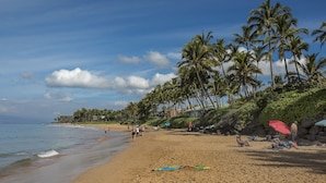 A beach with palm trees, a sandy shore, and a few people.