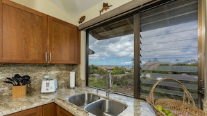 A kitchen with wooden cabinets, a granite countertop, a double sink, a toaster, and a window with a view of a residential area.