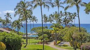 A tropical resort with a clear view of the ocean, palm trees, and a well-maintained lawn.