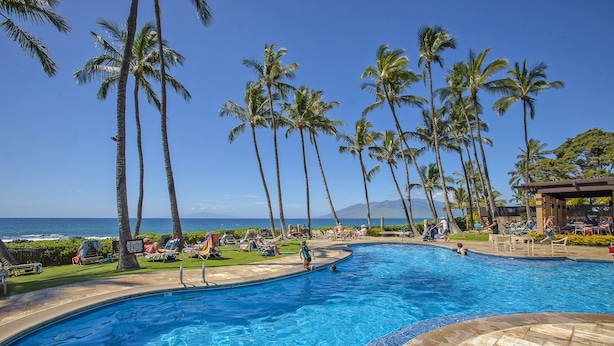 A swimming pool with palm trees and a view of the ocean.