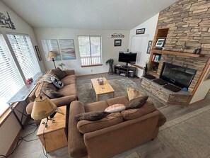 Smart TV, chimenea, reproductor de DVD y libros 