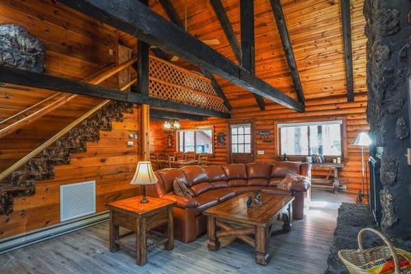 Smart TV, chimenea, reproductor de DVD, libros