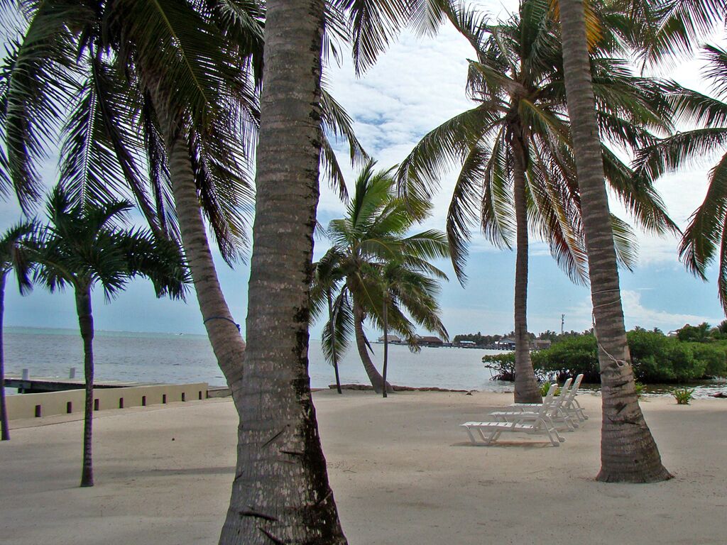 On the beach, sun loungers, beach towels