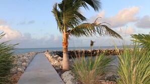 A concrete pathway leading to a beach with palm trees and a rocky shoreline. - Oceanfront Home on Deep Water Canal w/Dock, Pool, Hot Tub, Kayaks, Pool Table! (Marathon)