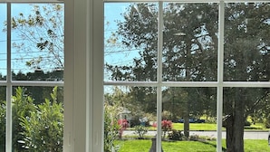 A view through a large window with multiple panes, revealing a well-maintained outdoor area with a paved path, benches, and greenery.
