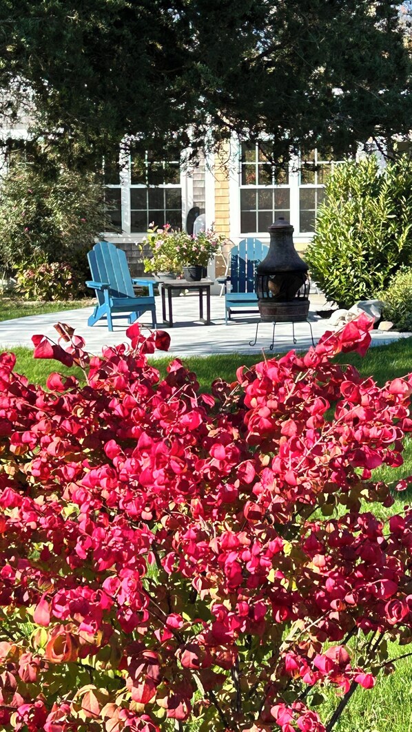 A garden with a fire pit, blue chairs, and a building with large windows in the background.