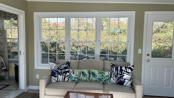 Smart TV, fireplace, books