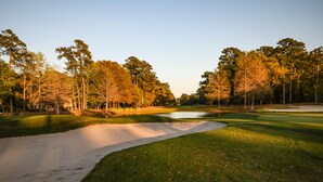 A golf course with sand bunkers, trees, and a clear sky. - Penny-Wise Paradise In Pawleys Island (Pawleys Island)