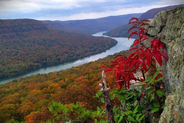 View from Snooper's Rock.TRG Island Cabins in distance.