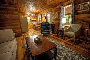 TV connectée, cheminée, lecteur de DVD