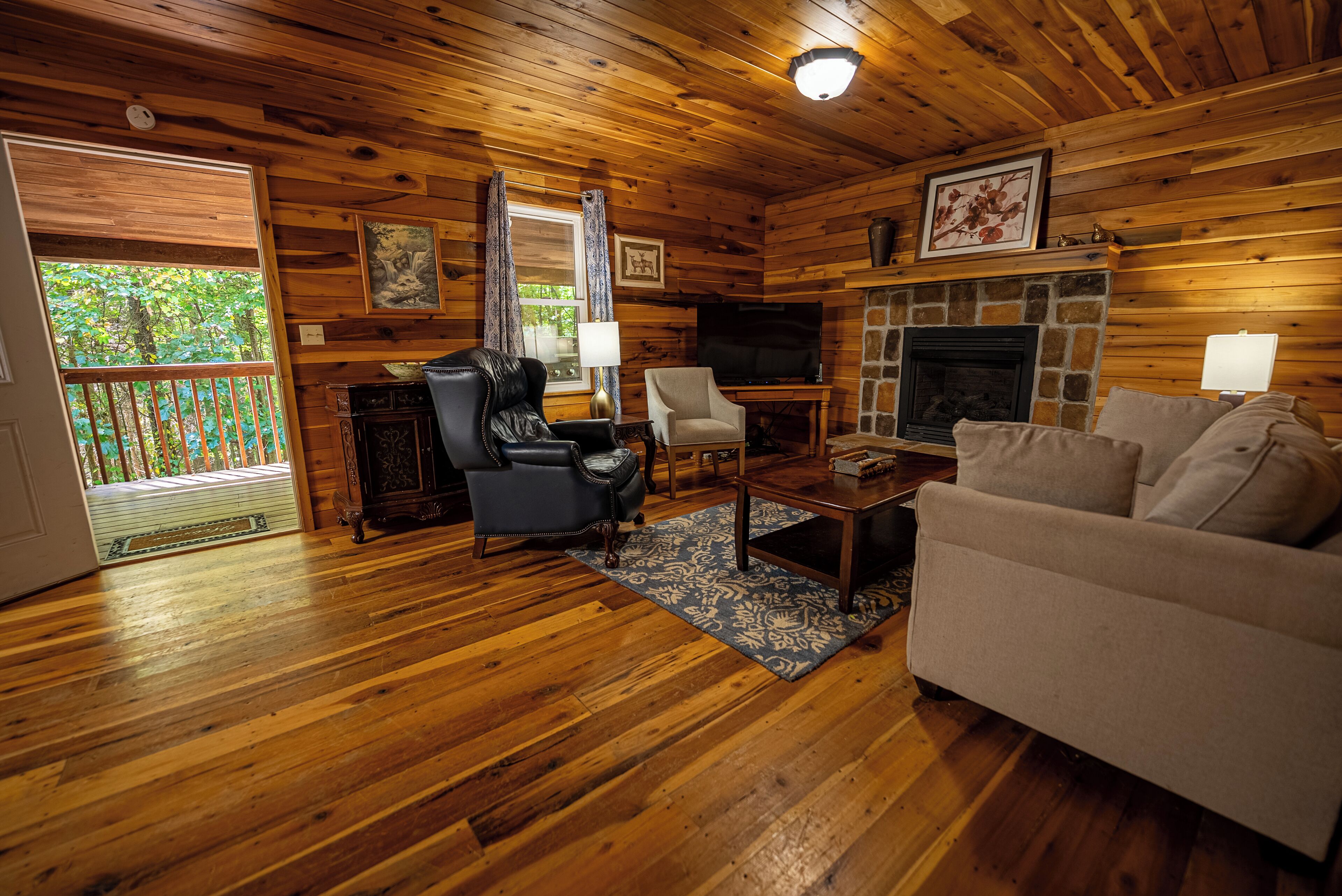 TV connectée, cheminée, lecteur de DVD