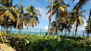 A coastal area with a fence, palm trees, and a beach in the background. - Marbella del Caribe Condo - Amazing Oceanfront View (Carolina)