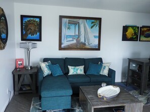 Smart TV, DVD player, books