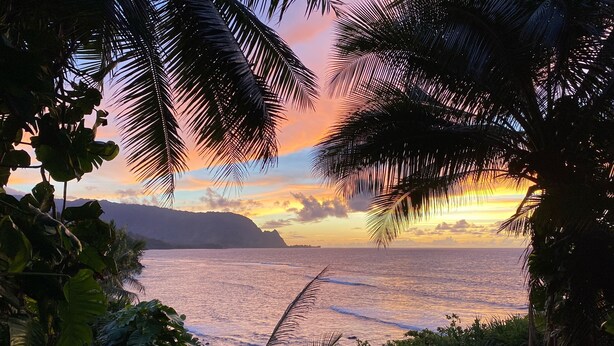 A tropical beach with palm trees and a sunset view. - Gorgeous Ocean Views From All Rooms! Corner Unit! Cool AC! Aloha Galore! (Princeville)