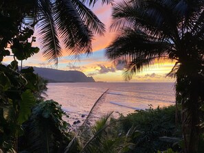 A tropical beach with palm trees and a sunset view.