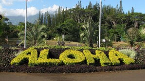 A landscaped area with the word "ALOHA" spelled out in greenery, two flags on poles, and a backdrop of trees and a clear sky. - Gorgeous Ocean Views From All Rooms! Corner Unit! Cool AC! Aloha Galore! (Princeville)
