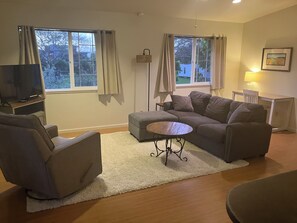 TV, DVD player, video library
