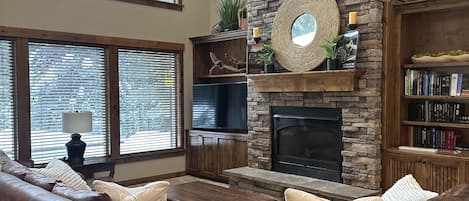 TV connectée, cheminée, lecteur de DVD, livres