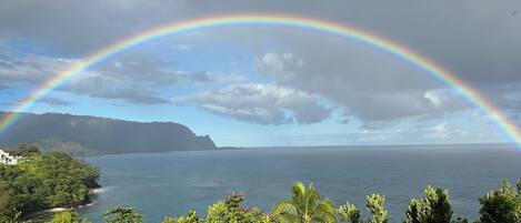 Een kustlandschap met een regenboog, begroeiing en uitzicht op zee.