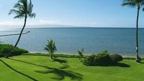 A well-maintained lawn with a view of the ocean.