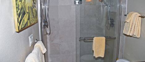 A shower with a glass door, a towel rack, and a toilet.