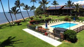 A pool area with a view of the ocean, surrounded by palm trees and a building with solar panels.
