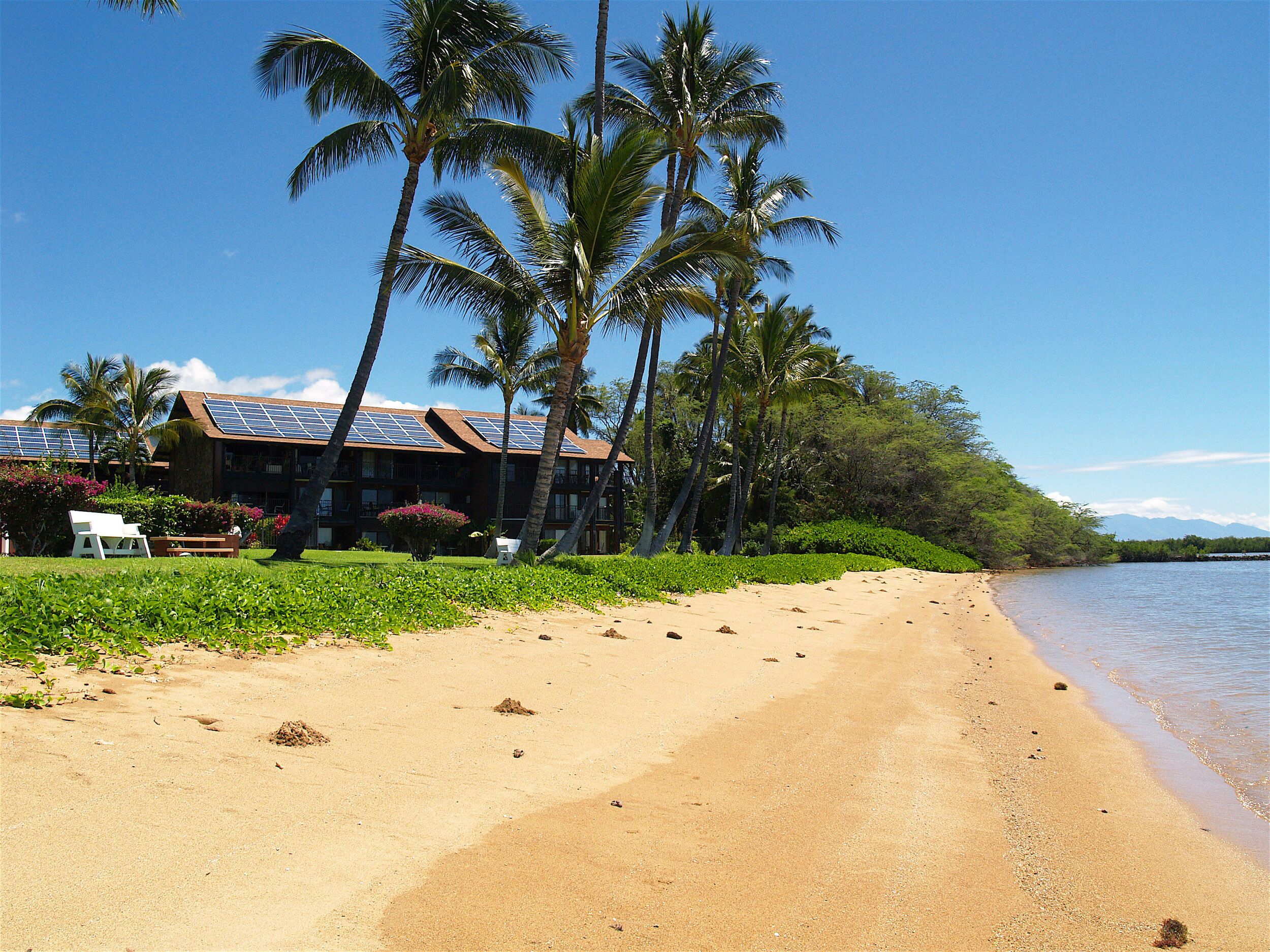Un hotel frente a la playa con palmeras, una playa de arena y un cielo azul despejado.