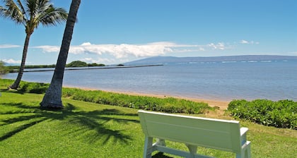 The Ultimate Oceanfront Penthouse - 'Hale No Ka Oi'