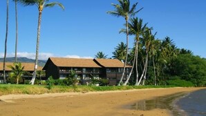 A beachfront hotel with multiple floors and a thatched roof, surrounded by palm trees and a sandy beach.