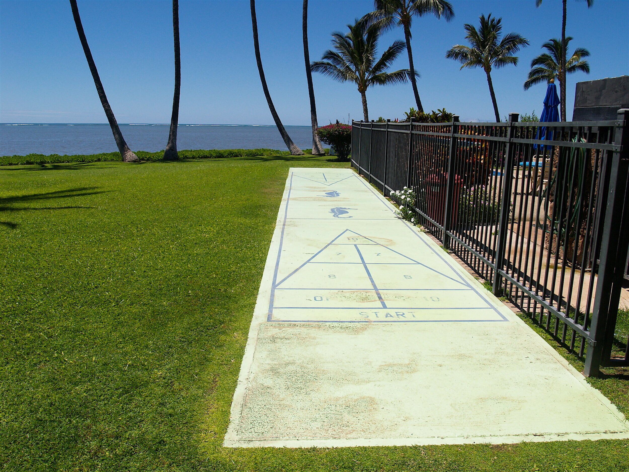A shuffleboard court with a starting line, surrounded by a fence and palm trees.