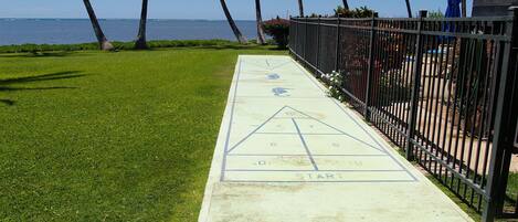 A shuffleboard court with a starting line, surrounded by a fence and palm trees.